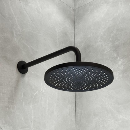 Shower watering can Iddis Optima Home, upper round, black matte-4