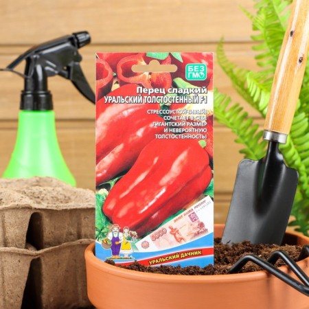 Sweet pepper "Ural thick -walled", F1, 20 pcs