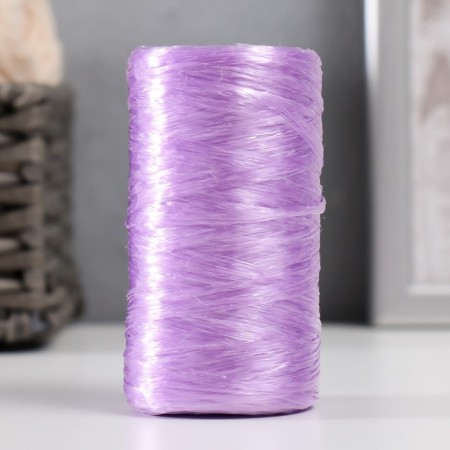 Gingerbread for manual knitting 100% polypropylene 200m/50g. (18-siren dark)