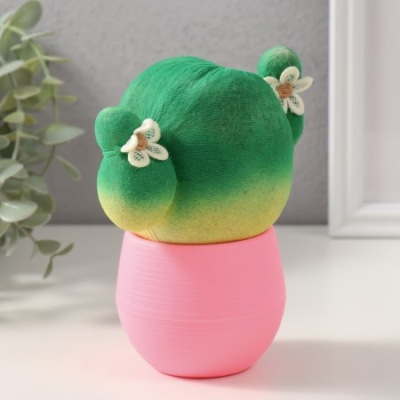 Growing gift Eco -Zhizhivchik "Cactus in a pot" Pink-1