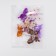 Decor at the clothespin "Butterfly", mix, 6.5 cm