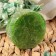 Massage soap with Luffa "Tea tree" 100 g "Dobroparov"