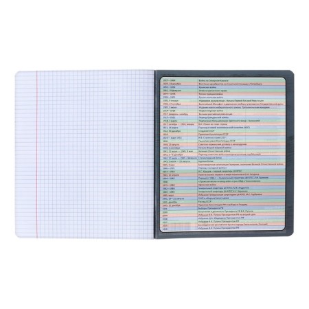 A set of subject notebooks 48 sheets, 12 pieces, Erichkrause "Chubrik", plastic cover silk-screen covers, Blok Offset 100%, information block-18