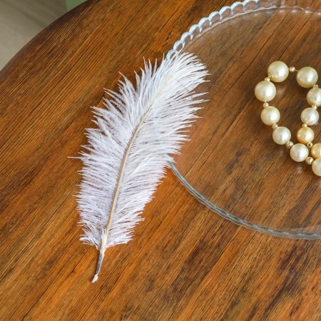 Feather for decor, size: 20-24 cm, white color-3