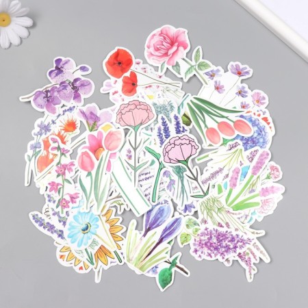 Stickers for creativity "Field flowers" set 50 pcs 4x8 cm