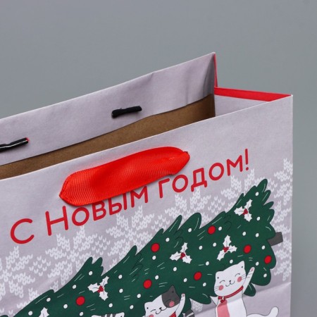 Craft horizontal package “I hurry to you”, MS 23 x 18 x 10 cm, New Year-4