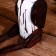 Souvenir "Pelican" hanging paws, wood 40 cm