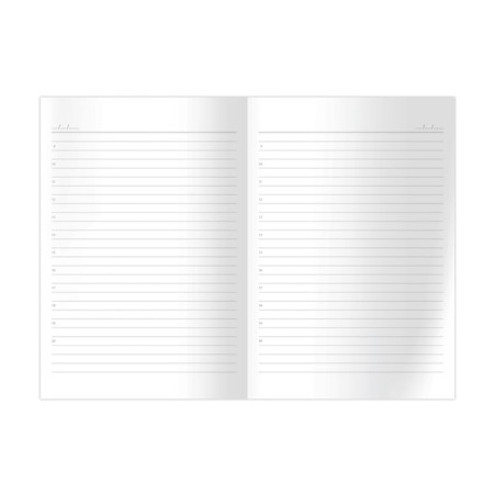 Deliciper of Leduced A5, 160 sheets in the "Business Goose" line, solid cover, matte lamination, an offset block 60 g/m2-3