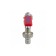 Water-brushed crane Aquasfera 1019-01, 1/2 ", with a fitting, lever, brass