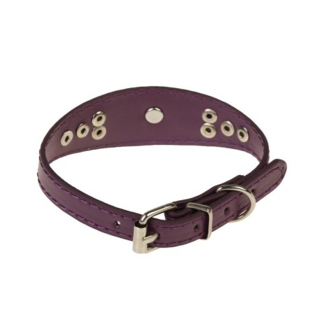 Roger-grade with a puppy, 29-32 x 2.5 cm, artificial leather, purple-1