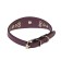 Roger-grade with a puppy, 29-32 x 2.5 cm, artificial leather, purple