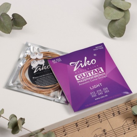Crins of the acoustic guitar Ziko DP-012, 12-53, phosphorus bronze