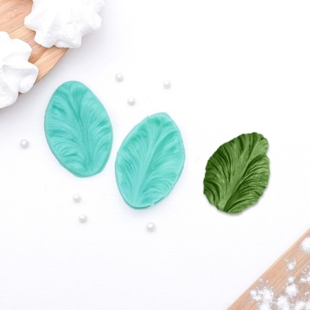 Mold "Leaf of Tropical Plants", silicone, 2 pcs, 6.5 × 4 × 2.3 cm, color mix-6