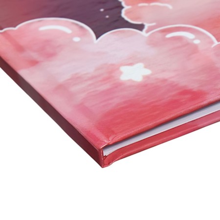 Diary for grades 5-11 "kittens in the clouds", hard cover, holography, 48 sheets-2