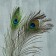 Feather Pavlin for decor, size - from 90 to 100 cm