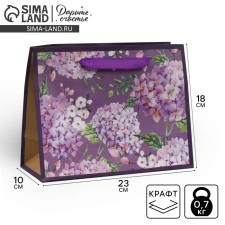 Package Gift Craft horizontal, packaging, “The best”, MS 23 x 18 x 10 cm