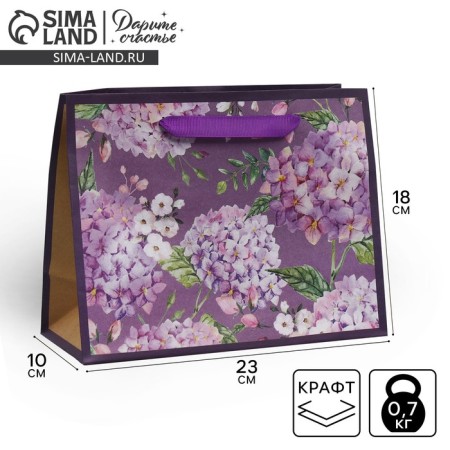 Package Gift Craft horizontal, packaging, “The best”, MS 23 x 18 x 10 cm