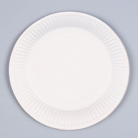 A set of paper utensils disposable avocado ”: 6 plates, 1 garland, 6 glasses-5