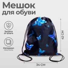 A bag for shoes 420 x 340 mm, calligrata MSO-5s, (soft polyester, density 210d), 