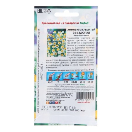 Flower seeds ammobum "Starfall", Euro, 0.2 g-1