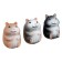 Hamster's Magizer with Paste, Mix Color