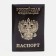 Passport cover, brown color