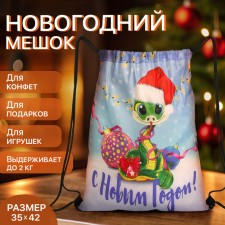 New Year 2025. New Year's bag for gifts on the cord 