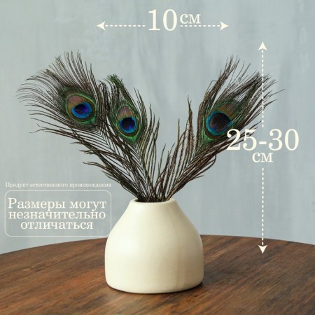 Feather of peacock for decor, set of 3 pcs., Size 1 pc. - from 25 to 30 cm-1