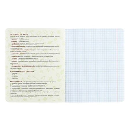 Subject Calligrata Top "Abstraction", 48 sheets in a biology cage, with reference material, covered cardboard, holographic lamination, offset block-1