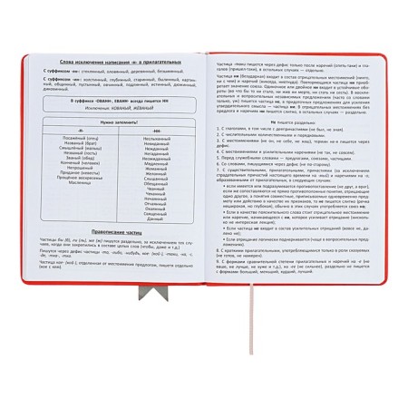 Universal diary for grades 1-11 Lenta, solid cover of artificial leather, applique, silkography, liesse, 48 sheets, red-11
