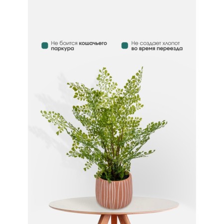 Decorative plant in a ceramic pot "Curly Paporotnik", 12 × 12 × 48 cm-5