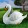 Garden figure "Swan with chicks" 30x20x23cm