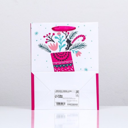 Package Laminated "gift sock" 18 x 23 x 10-1