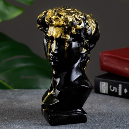 Kashpo - organizer "Bust of David" black, 17x9x10cm-4