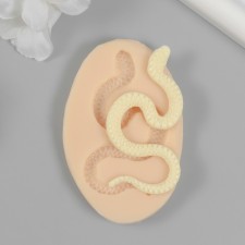 Silicone Mold 