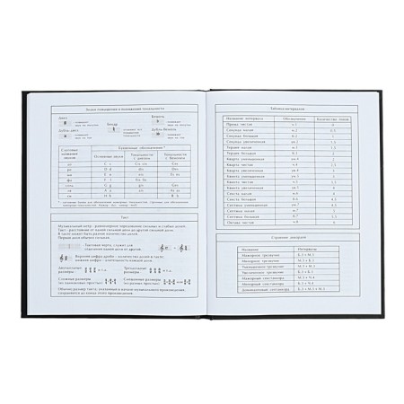 Diary for the MIXTAPE music school, 48 sheets, solid cover, matte lamination, foil embossing, offset block-9