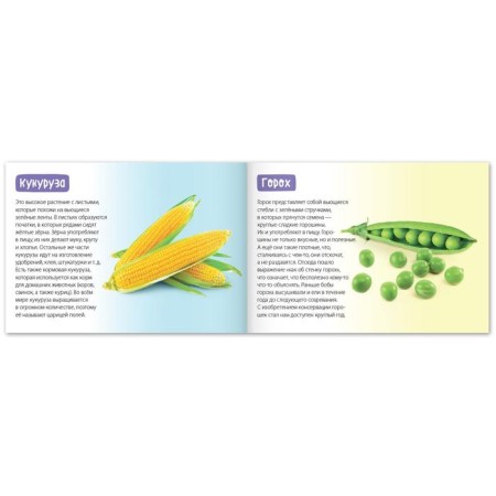 The training book "Vegetables", 20 p.-2