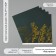 Scrapbooking paper gold "Plant" density 180 grams set 5 pcs 30.5x32 cm