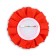 Diploma and Order for graduation "Graduate of primary school", gift set