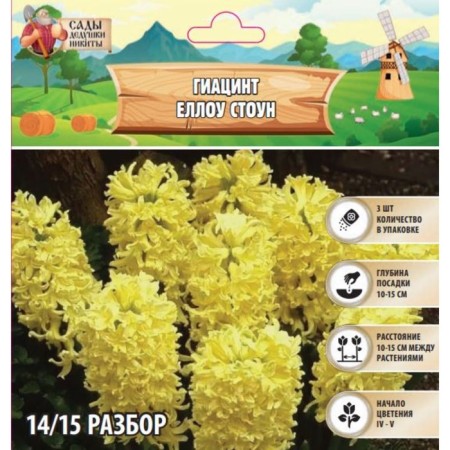 Hyacinth Hellou Stone, rr 14/15, 3pcs, autumn 2024