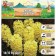 Hyacinth Hellou Stone, rr 14/15, 3pcs, autumn 2024