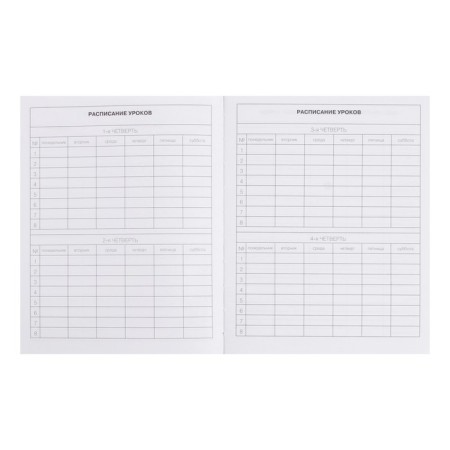 Diary for grades 5-11 "Dragon", integral cover, glossy lamination, 48 sheets-4