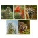 Notebook of 48 sheets in the Wild World cage, paper cover, type "D" block, mix