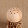 Set for spices "Tick" d = 4.5 cm, h = 9 cm