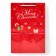 Package with the window "Santa Claus" 24 x 35 x 14 cm, green