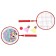 A set for Badminton Onlytop "Pony": 2 rackets 44 cm, 2 strokes, ball, cover, red color