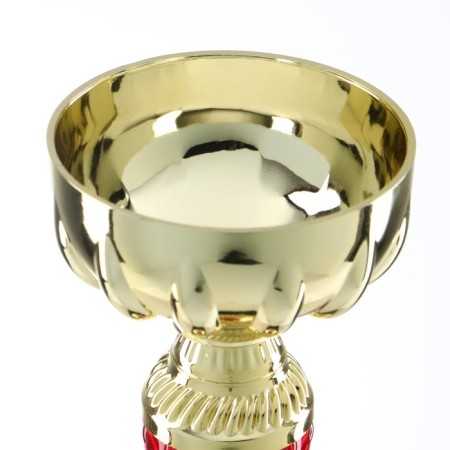 Cup 076C, award figure, gold, plastic stand, 19 x 7 x 6.5 cm.-5