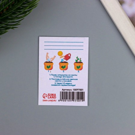Postcard with seeds "grow itself" "health and heat" 5*7cm-2