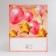 Laminated package “C DR!”, M 26 × 32 × 10 cm