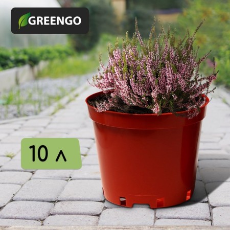 Pot for seedlings, 10 l, d = 29 cm, h = 22.5 cm, terracotta, Greengo